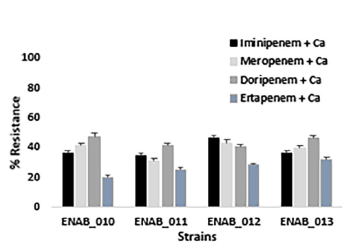 Bacteria resistance profile chart after