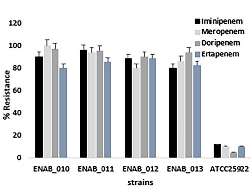 Bacteria resistance profile chart before